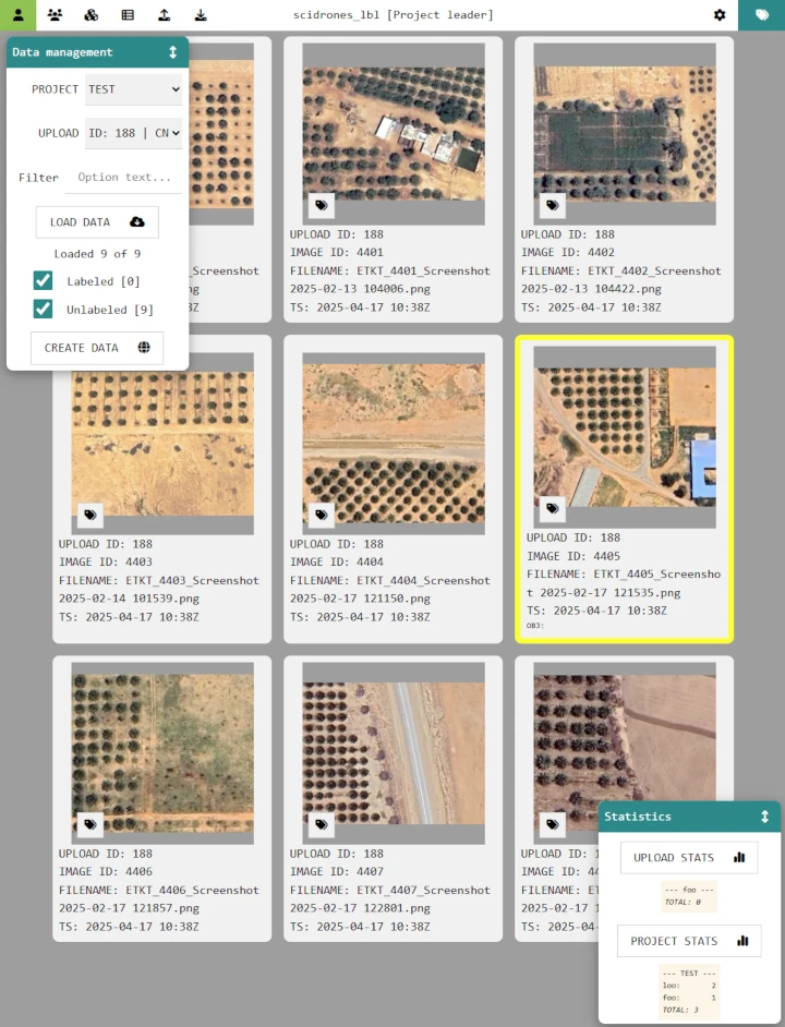 Uploaded images of palm trees plantation for a labeling project