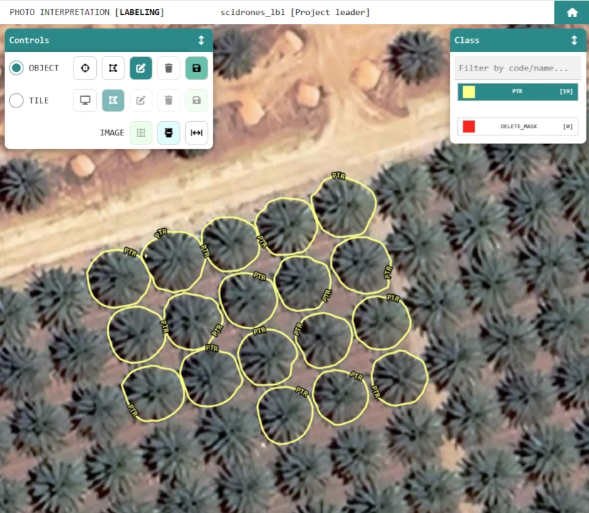 Labeling of palm trees